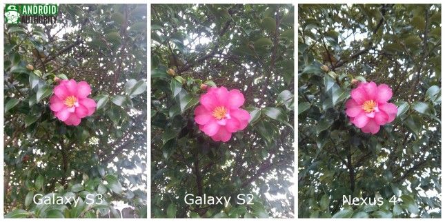 Galaxy-s3-galaxy s2-nexus-4-fleur-aa
