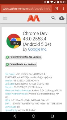 chromedev-themeColor-after2