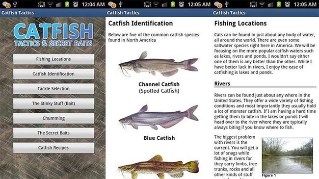 Catfish entretien de développeur d'application