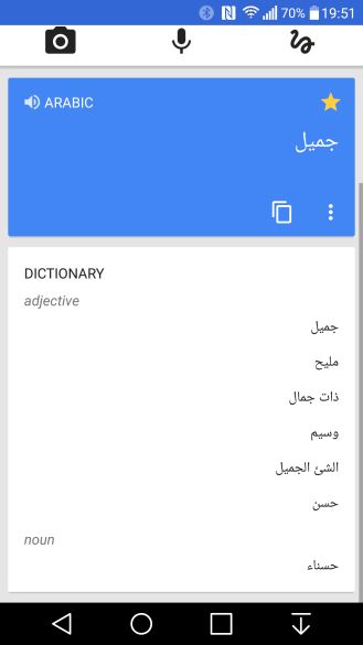 google-translate-dictionnaire-3