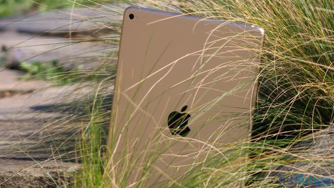 iPad 2 Air retour herbe roche