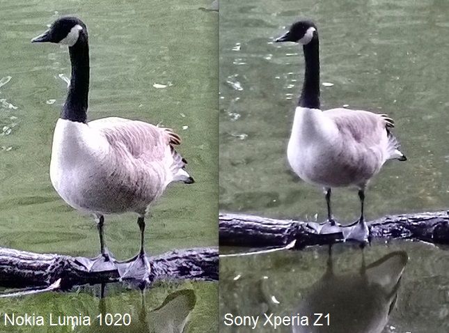 Fotografía - Sony Xperia Z1 oppose l'appareil photo du Nokia Lumia 1020