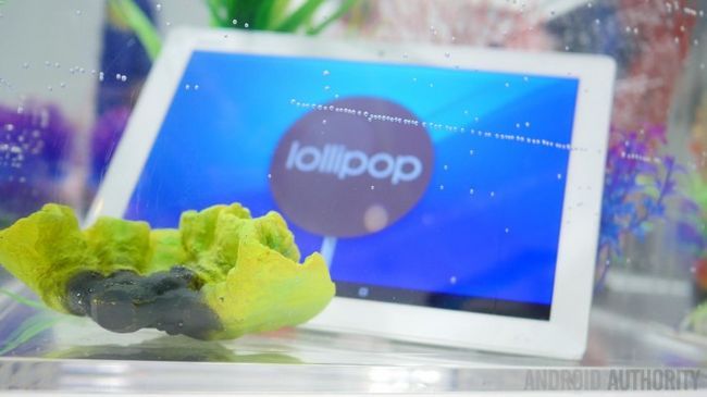Fotografía - Vidéo: Xperia Tablet Z4 Qualcomm de sport tech pour un affichage plus réactif humide